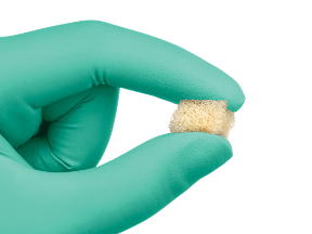 Advanced Medical Demineralized Bone Cube (AM Cube)