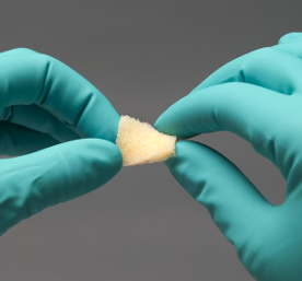 Advanced Medical Demineralized Bone Strip (AM Strip)
