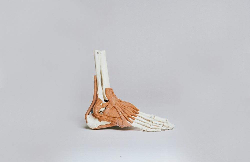 Foot & Ankle